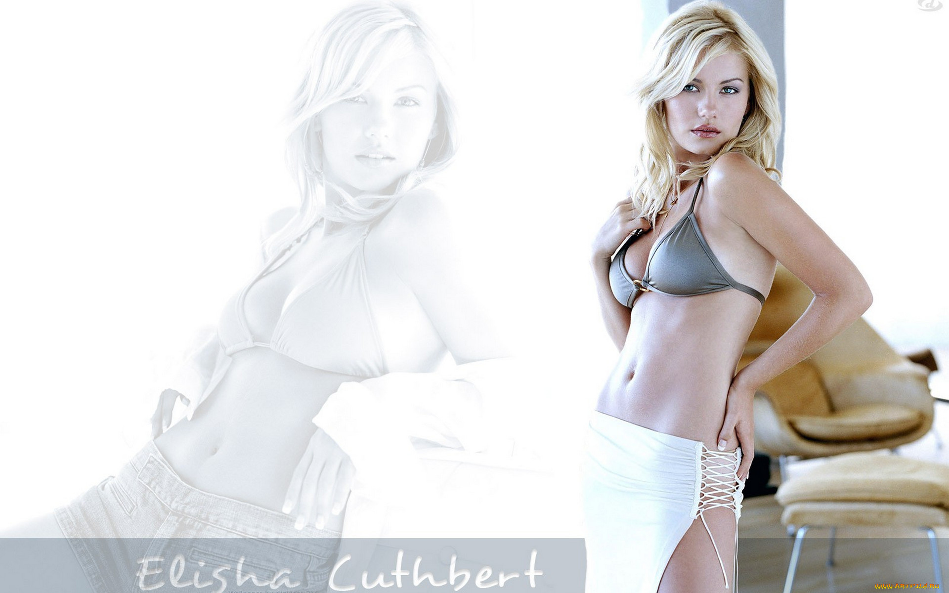 , elisha cuthbert, , , , 